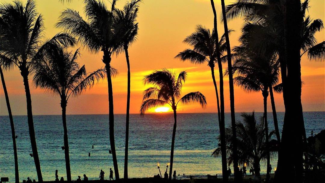 Maui, sunset view on pal trees