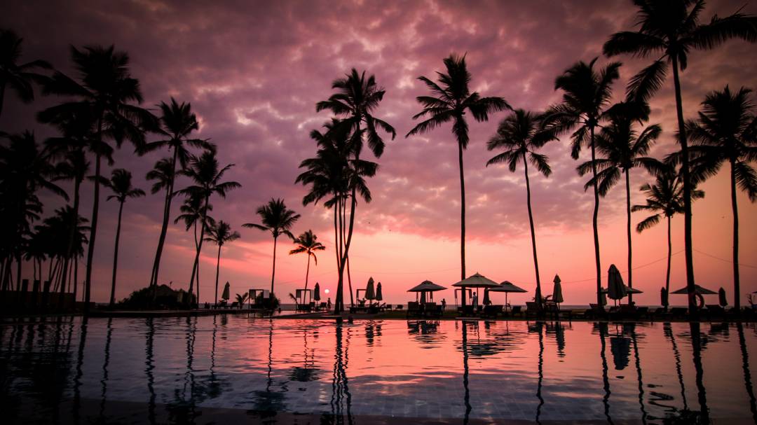 Sri Lanka sunset and palms