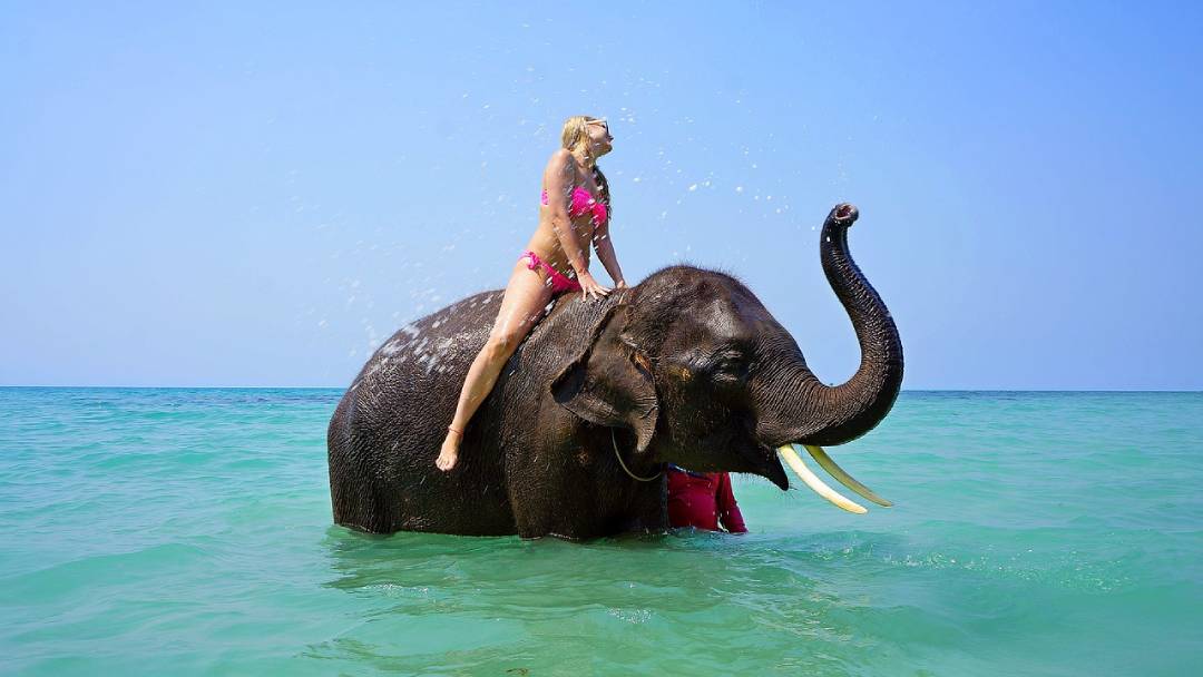 riding on an elephant in Thailand