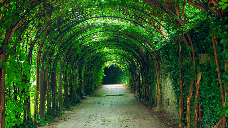 Green Tunnel Salzburg