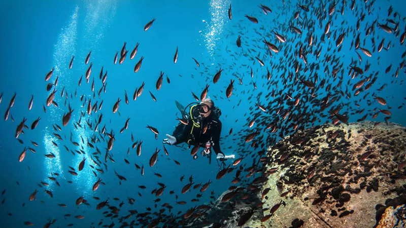 diving with your sweetheart at Halkidiki, Greece
