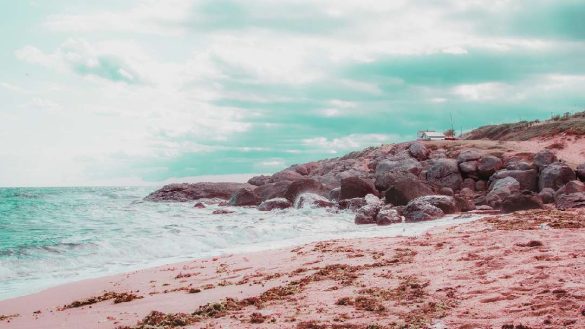 pink sand beach